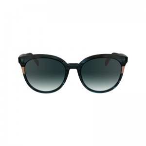 Blue Havana - Acetate Longchamp Women Sunglasses | AU8502MQ