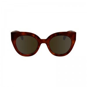 Havana Brown - Acetate Longchamp Women Sunglasses | AU8463FD